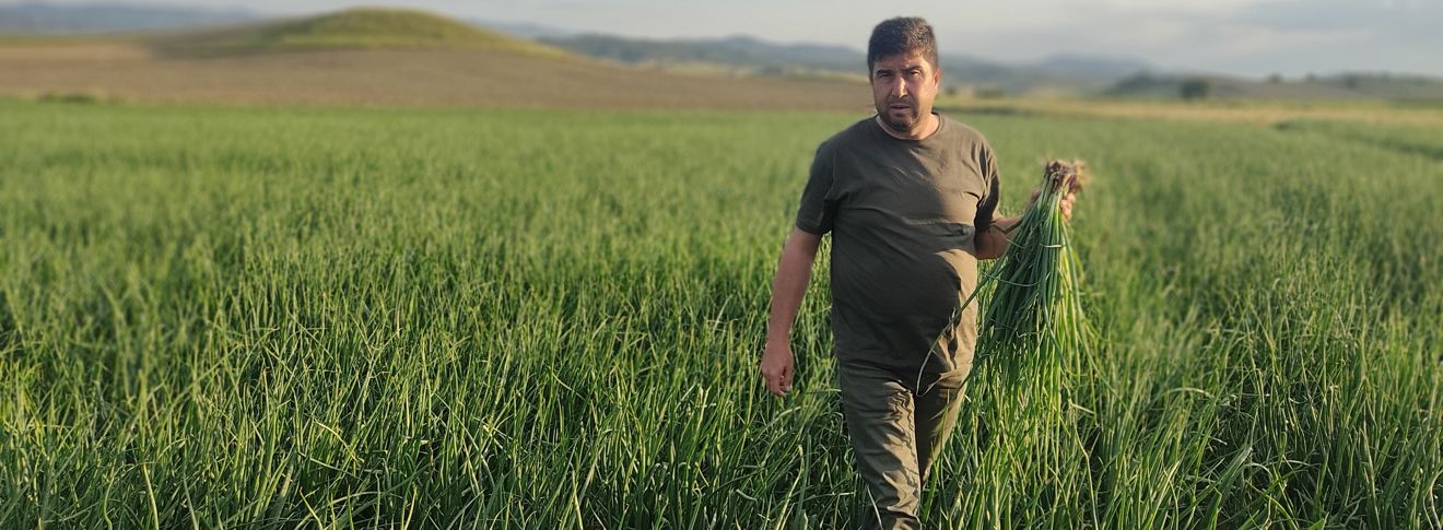 Organik Tarımda Kullanılan Ürünler