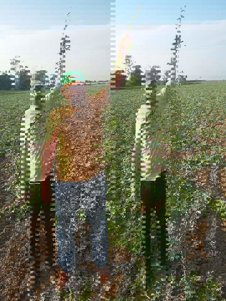 Organik Maddelerin Bitki Beslemedeki Rolü